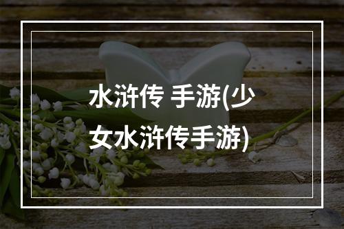 水浒传 手游(少女水浒传手游)