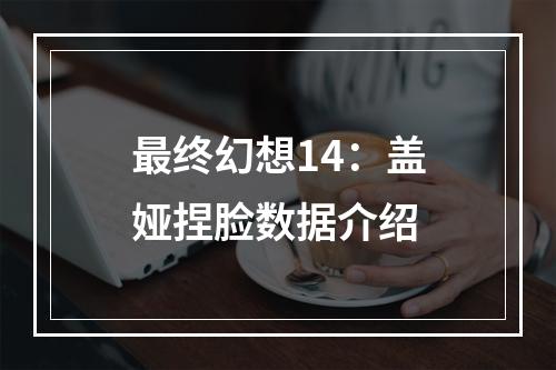 最终幻想14：盖娅捏脸数据介绍