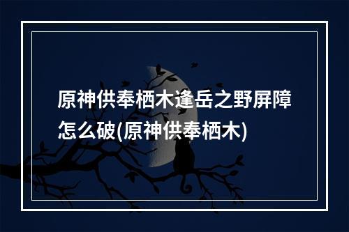 原神供奉栖木逢岳之野屏障怎么破(原神供奉栖木)