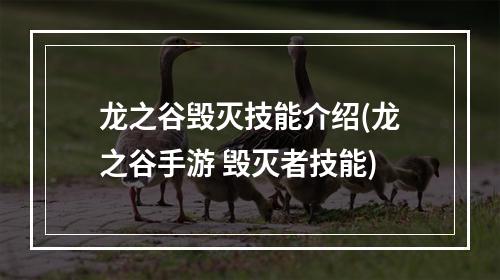 龙之谷毁灭技能介绍(龙之谷手游 毁灭者技能)