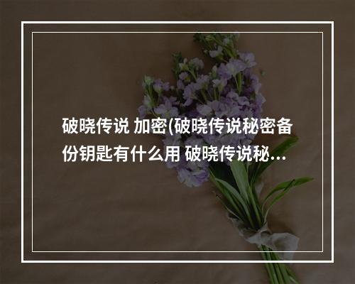 破晓传说 加密(破晓传说秘密备份钥匙有什么用 破晓传说秘密备份钥匙)