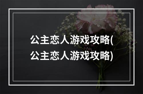 公主恋人游戏攻略(公主恋人游戏攻略)