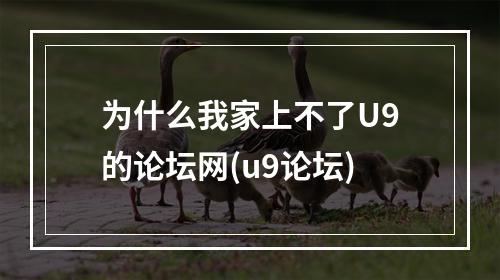 为什么我家上不了U9的论坛网(u9论坛)