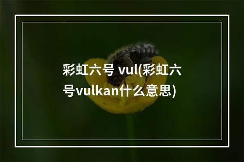 彩虹六号 vul(彩虹六号vulkan什么意思)