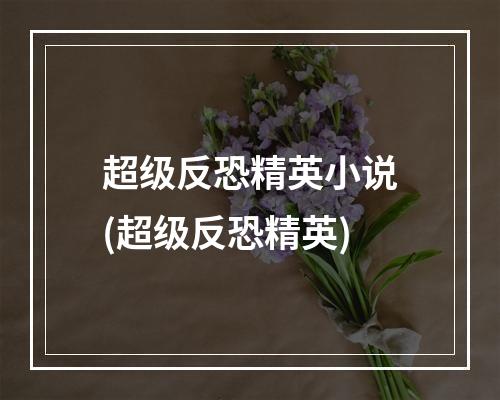 超级反恐精英小说(超级反恐精英)