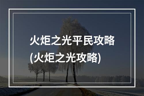 火炬之光平民攻略(火炬之光攻略)