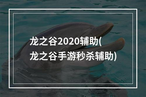 龙之谷2020辅助(龙之谷手游秒杀辅助)