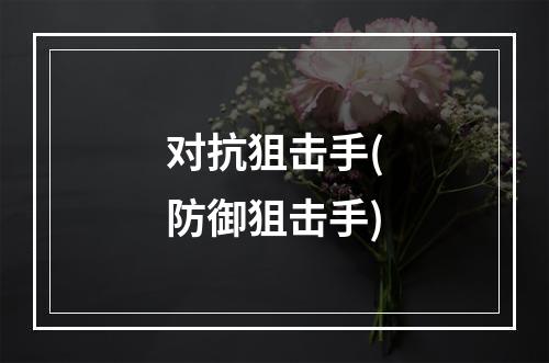 对抗狙击手(防御狙击手)