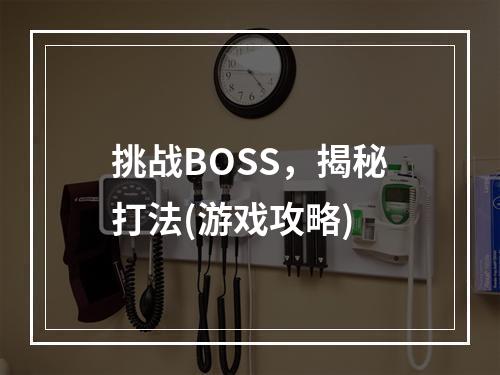 挑战BOSS，揭秘打法(游戏攻略)