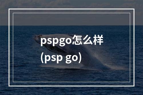 pspgo怎么样(psp go)