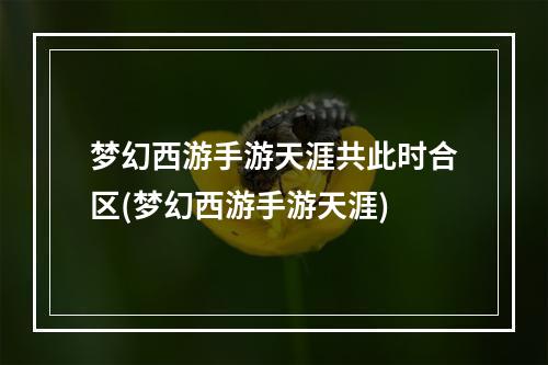 梦幻西游手游天涯共此时合区(梦幻西游手游天涯)