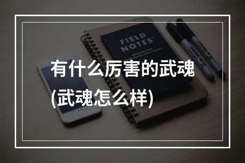 有什么厉害的武魂(武魂怎么样)