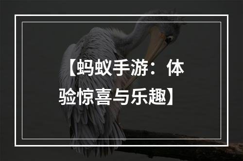 【蚂蚁手游：体验惊喜与乐趣】