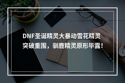 DNF圣诞精灵大暴动雪花精灵突破重围，驯鹿精灵原形毕露！