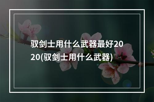 驭剑士用什么武器最好2020(驭剑士用什么武器)