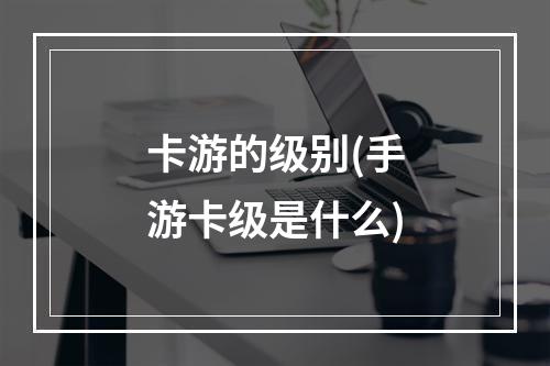 卡游的级别(手游卡级是什么)