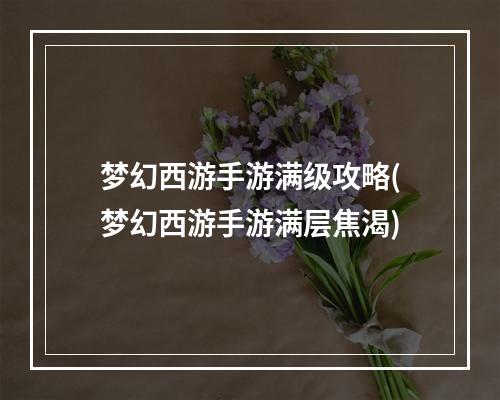 梦幻西游手游满级攻略(梦幻西游手游满层焦渴)