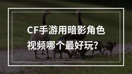 CF手游用暗影角色视频哪个最好玩？