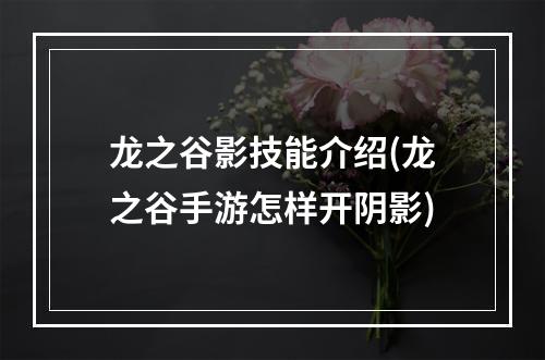 龙之谷影技能介绍(龙之谷手游怎样开阴影)