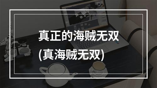 真正的海贼无双(真海贼无双)