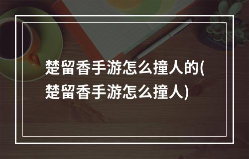 楚留香手游怎么撞人的(楚留香手游怎么撞人)