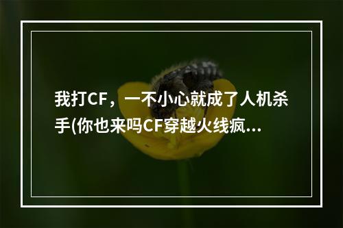 我打CF，一不小心就成了人机杀手(你也来吗CF穿越火线疯狂人机晒战绩活动介绍)