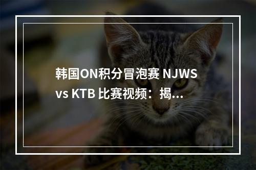 韩国ON积分冒泡赛 NJWS vs KTB 比赛视频：揭示LOL玩家技巧的战场