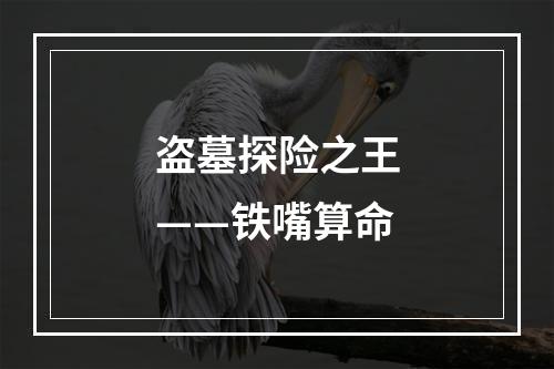 盗墓探险之王——铁嘴算命