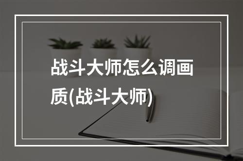 战斗大师怎么调画质(战斗大师)