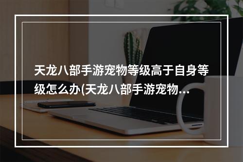 天龙八部手游宠物等级高于自身等级怎么办(天龙八部手游宠物等级)