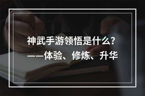 神武手游领悟是什么？——体验、修炼、升华