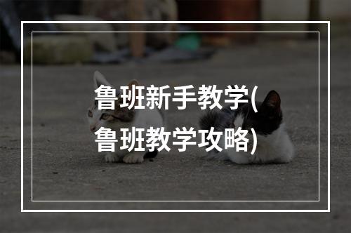 鲁班新手教学(鲁班教学攻略)