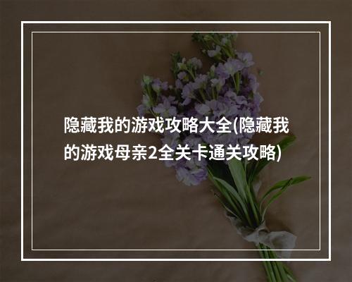 隐藏我的游戏攻略大全(隐藏我的游戏母亲2全关卡通关攻略)