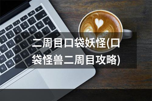 二周目口袋妖怪(口袋怪兽二周目攻略)