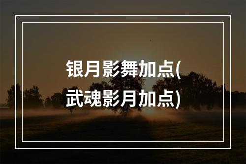 银月影舞加点(武魂影月加点)