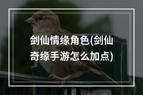 剑仙情缘角色(剑仙奇缘手游怎么加点)