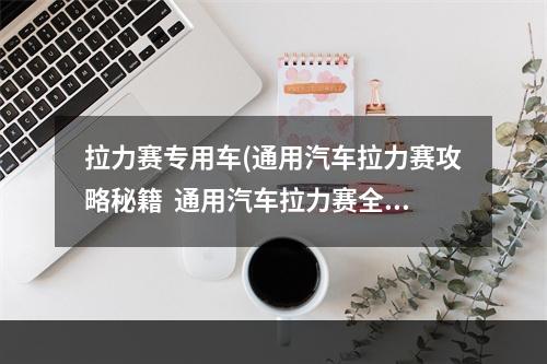 拉力赛专用车(通用汽车拉力赛攻略秘籍  通用汽车拉力赛全攻略  通用)