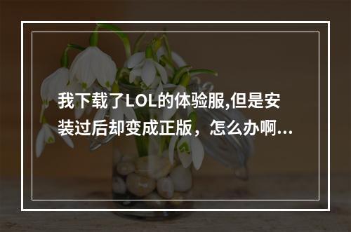 我下载了LOL的体验服,但是安装过后却变成正版，怎么办啊(lol体验服转换器)