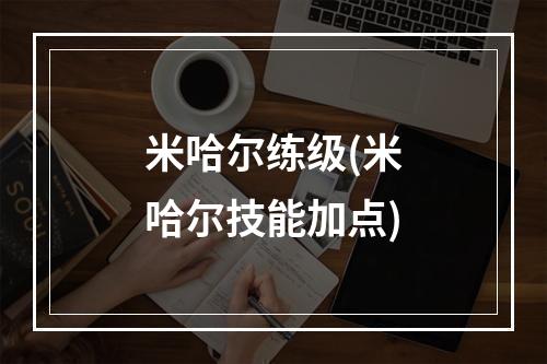 米哈尔练级(米哈尔技能加点)