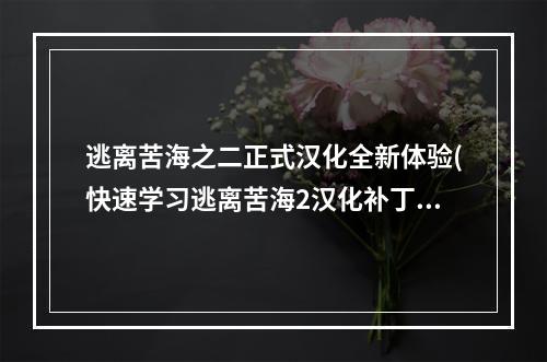 逃离苦海之二正式汉化全新体验(快速学习逃离苦海2汉化补丁)