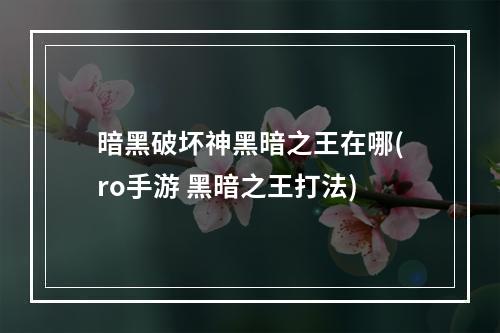 暗黑破坏神黑暗之王在哪(ro手游 黑暗之王打法)