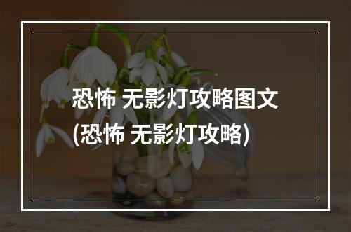 恐怖 无影灯攻略图文(恐怖 无影灯攻略)