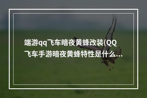 端游qq飞车暗夜黄蜂改装(QQ飞车手游暗夜黄蜂特性是什么特性强力吗)