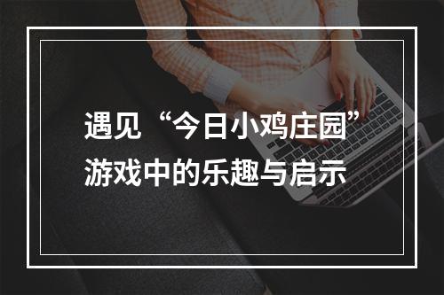 遇见“今日小鸡庄园”游戏中的乐趣与启示