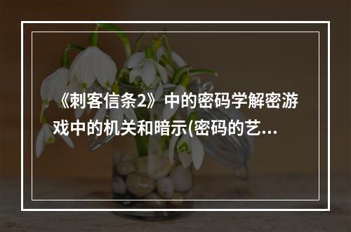 《刺客信条2》中的密码学解密游戏中的机关和暗示(密码的艺术深度揭秘刺客信条2)