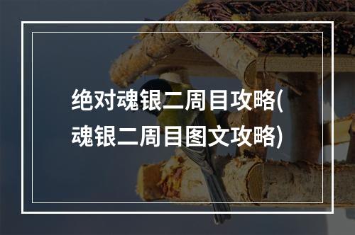 绝对魂银二周目攻略(魂银二周目图文攻略)