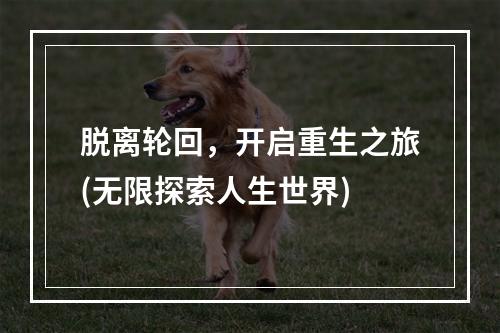 脱离轮回，开启重生之旅(无限探索人生世界)