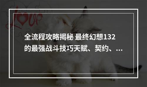 全流程攻略揭秘 最终幻想132的最强战斗技巧天赋、契约、碎片、共鸣(征服千难万险)