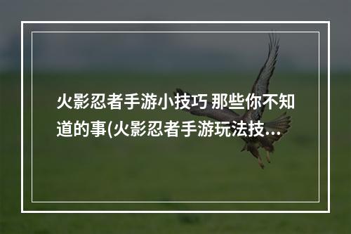 火影忍者手游小技巧 那些你不知道的事(火影忍者手游玩法技巧)