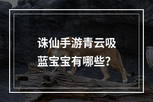 诛仙手游青云吸蓝宝宝有哪些？